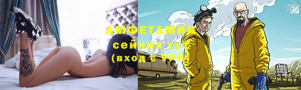 индика Костерёво
