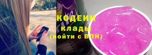 индика Костерёво