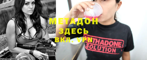 индика Костерёво