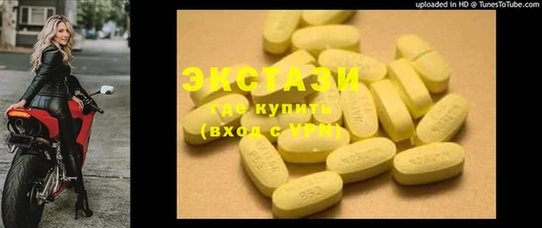 индика Костерёво