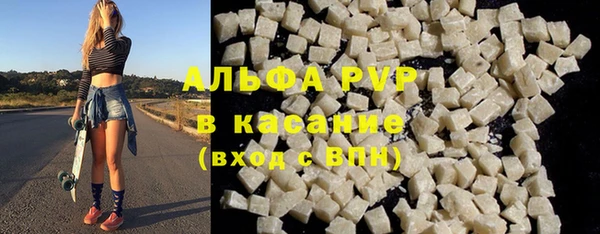 индика Костерёво