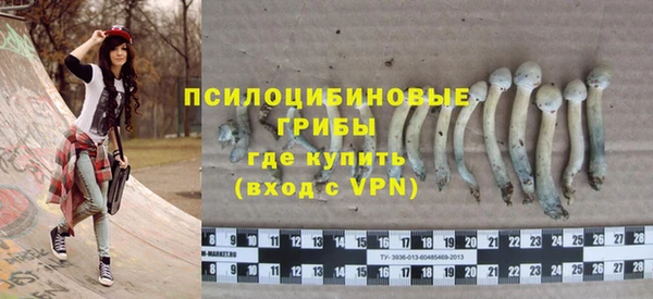 кристаллы Корсаков