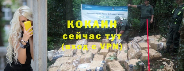 индика Костерёво
