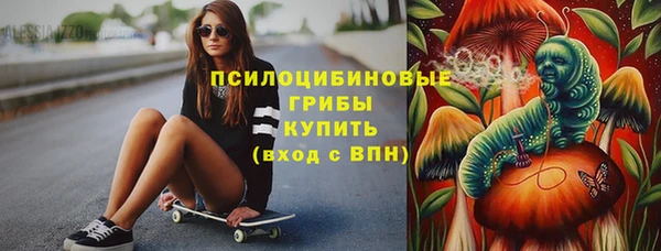индика Костерёво