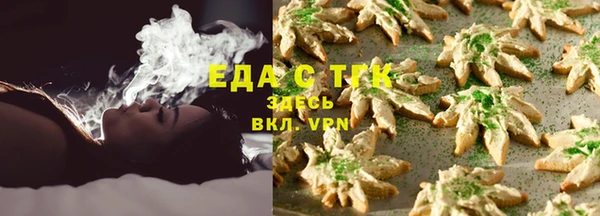 индика Костерёво