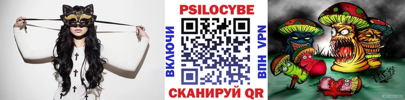 Купить закладки  Чекалин  Псилоцибиновые грибы ЛСД 